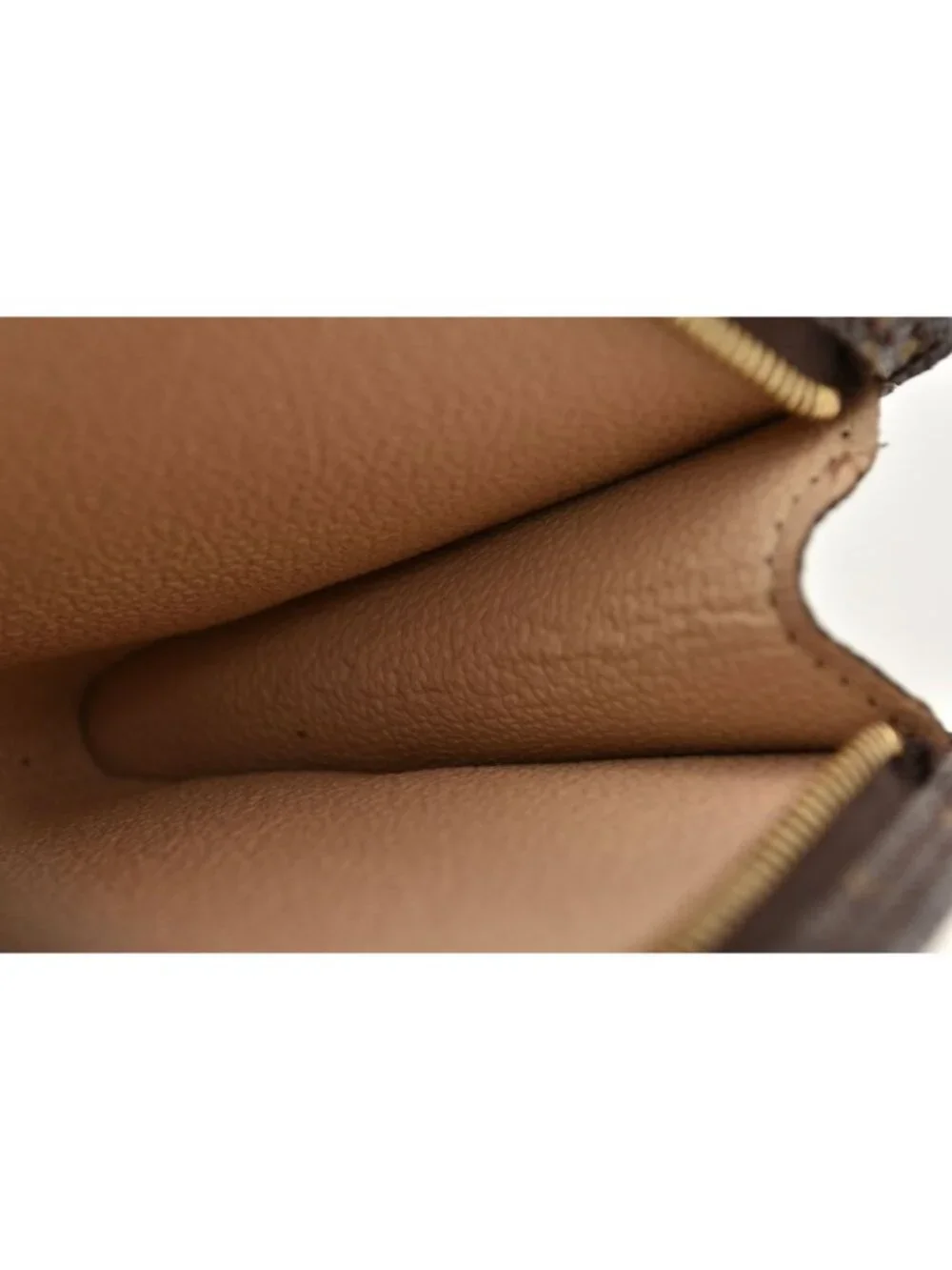Louis Vuitton monogram canvas